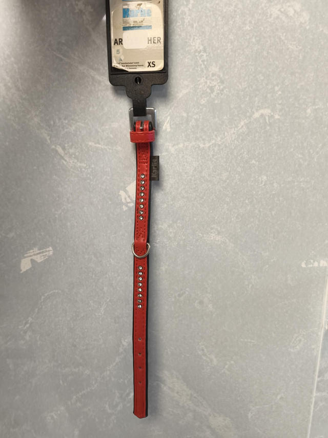 Collier cuir rouge XS