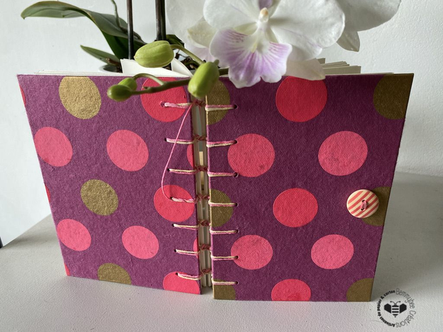 Numéro 78 - Carnet Bulles