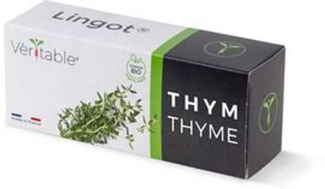 Véritable Lingot Thyme - Organic