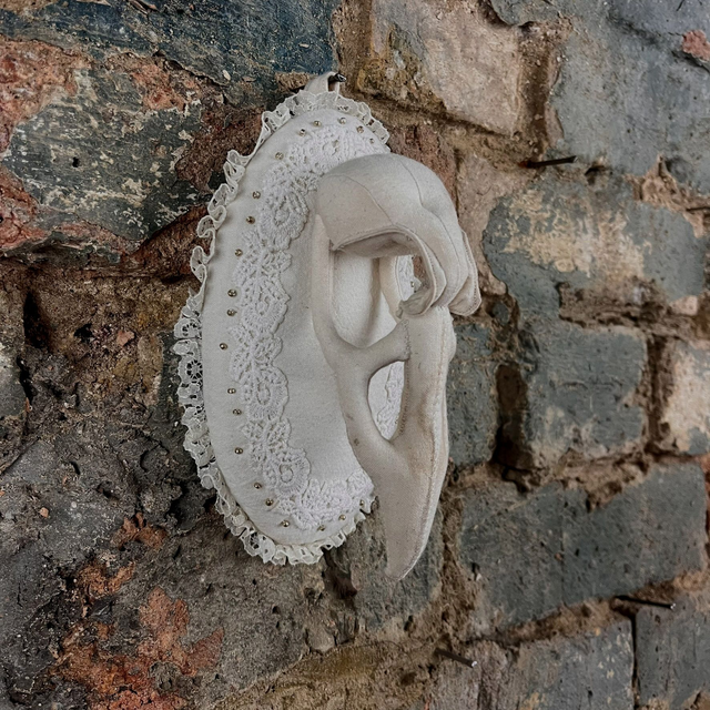 Large Corvid Bird Skull (1)