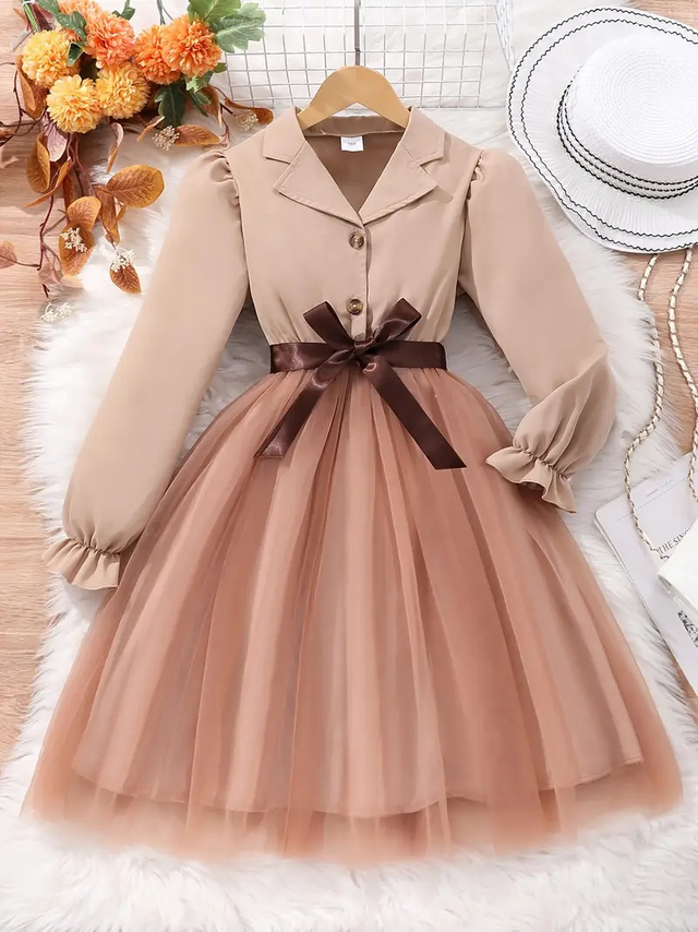 Dress, Elegant Long-Sleeve Tulle Dresses