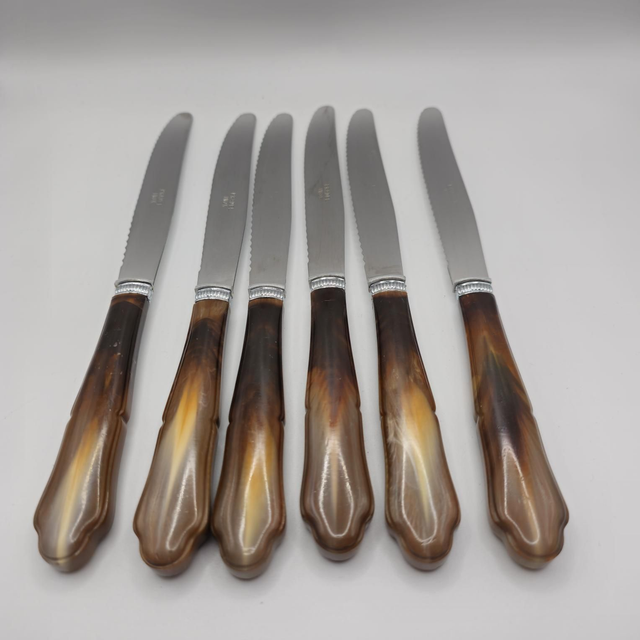 Lot de 6 couteaux de table Pradel inox