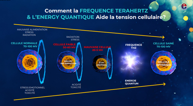 Soin de physiothérapie avec l'Iteracare
