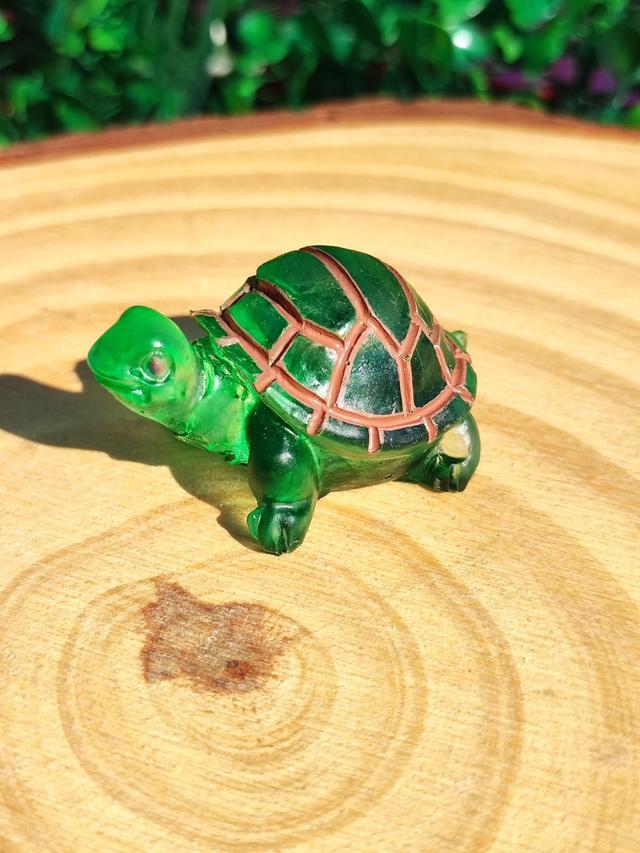 Tortue terrestre 