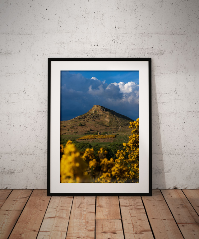 Gorsegous, Roseberry Topping