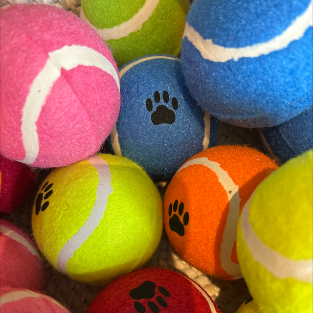 Coloured tennis ball 