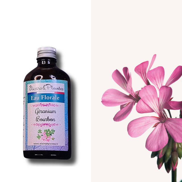 Hydrolat de Géranium bourbon Bio Français