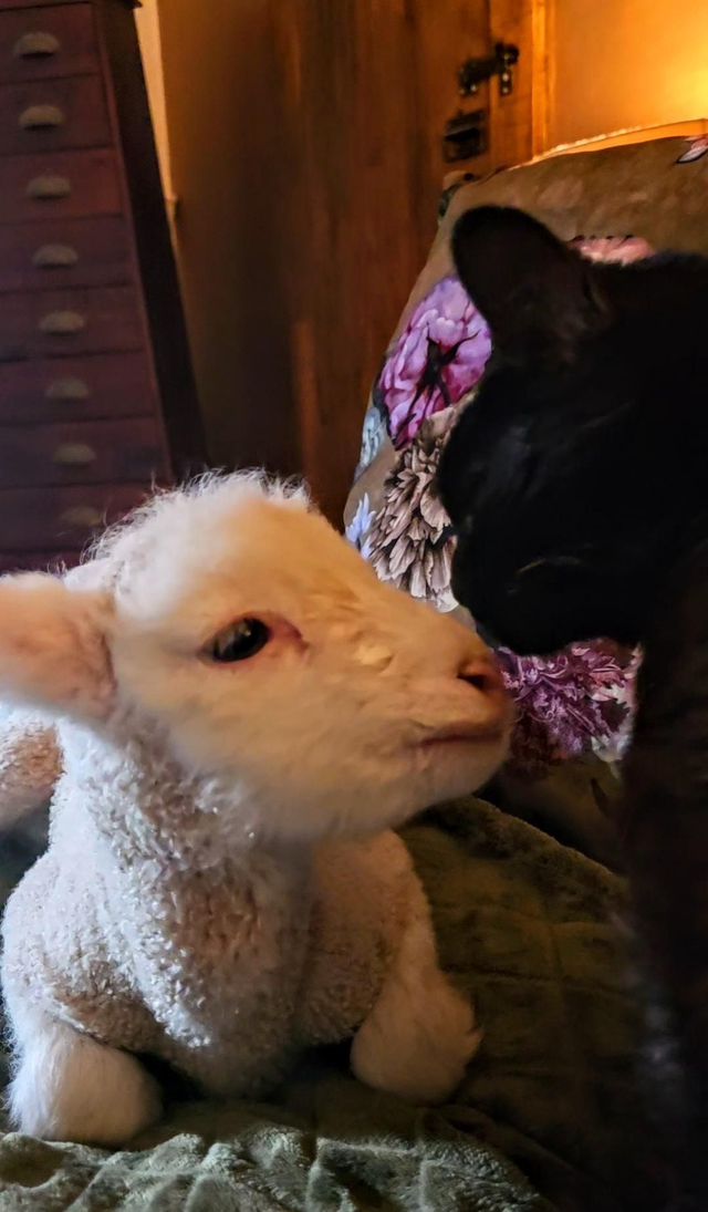 A Donation General needs