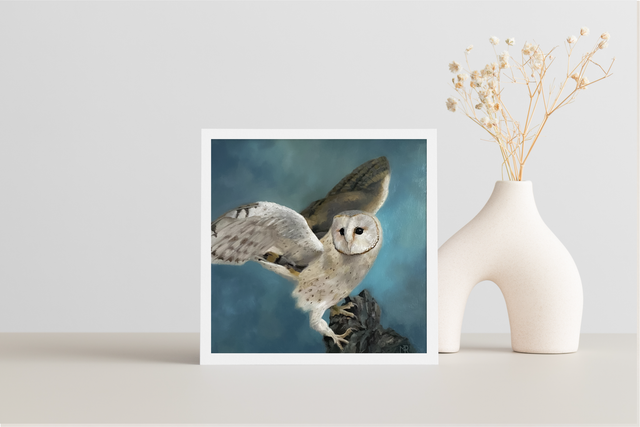 Athena Portrait of a Barn Owl 