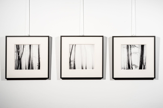 Wandbild Triptychon "Nationalpark Jasmund"