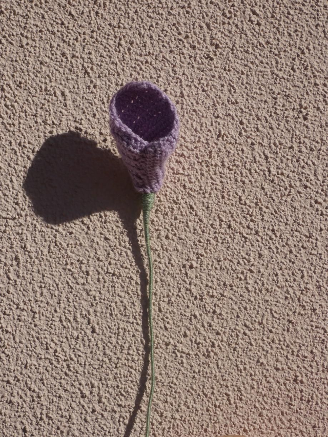 Arum violet pailleté 