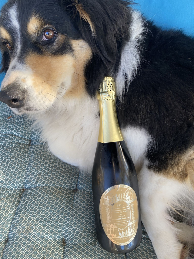 Blanc de blanc de Viognier