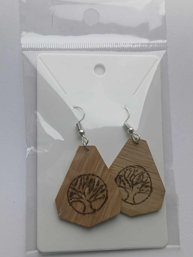Paire de boucles d’oreilles de forme heptagonale