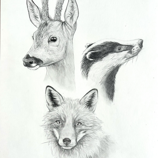 « Trio forestier » - A3 - Précommande