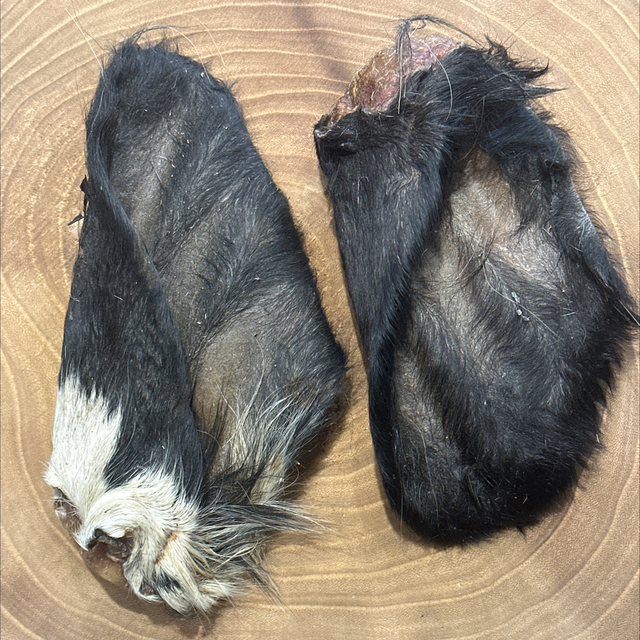 Hairy Cow Ear 