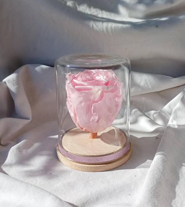 FdM10 simple rose rose