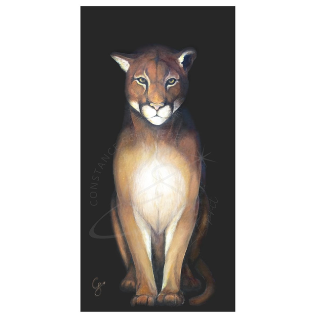 Puma &quot;Lueur&quot;