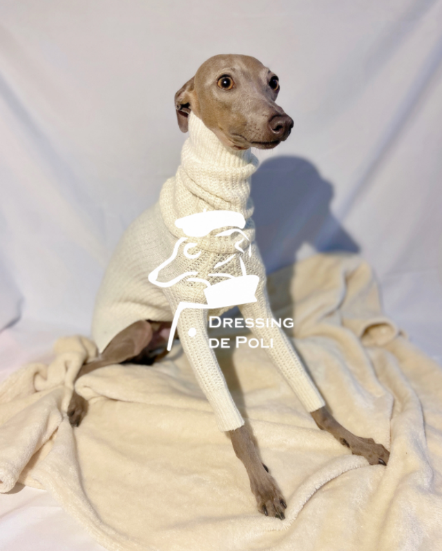 Cream Turtle Neck Knitwear