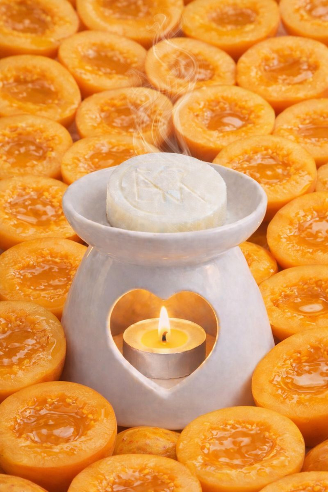 NECTAR D'ABRICOT GALET FONDANT 15g