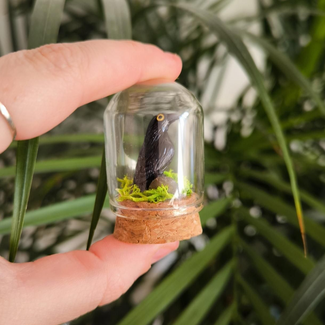 Toup&#039;tit protecteur - Corbeau