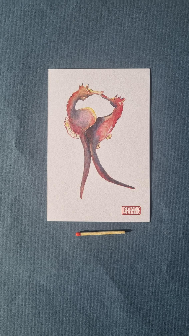 Hippocampes amoureux à partir de 4€