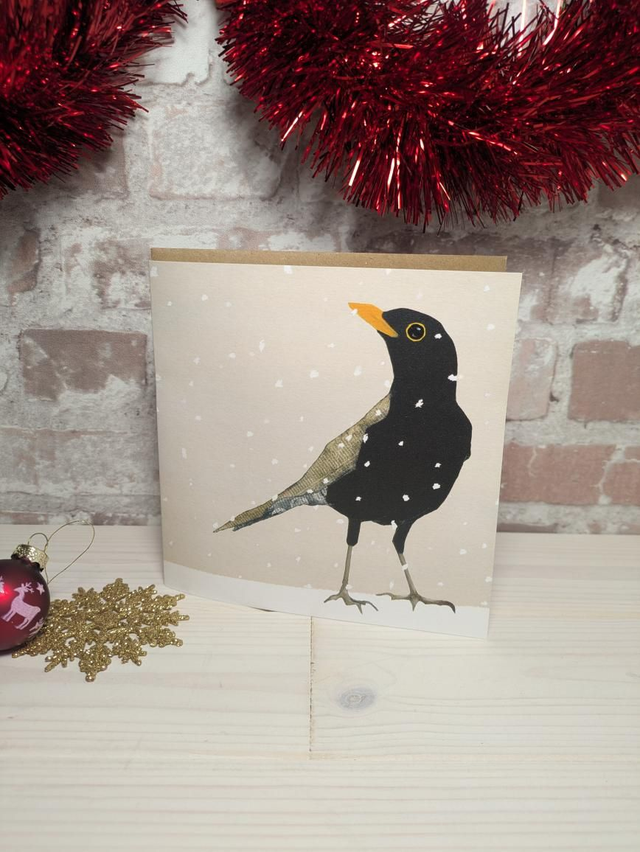 Christmas Cards - Birds by Windsock Press