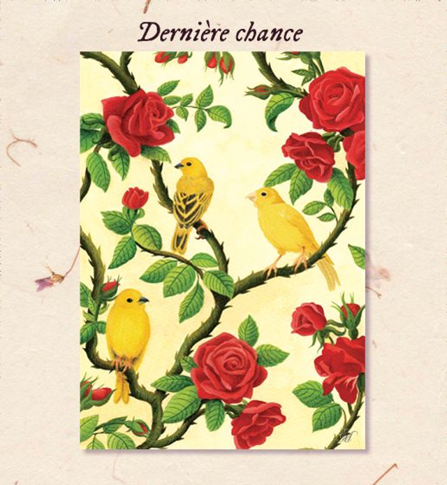 Dernière Chance - Impressions A5 &amp; A4 - Roses &amp; Canaris 🐦