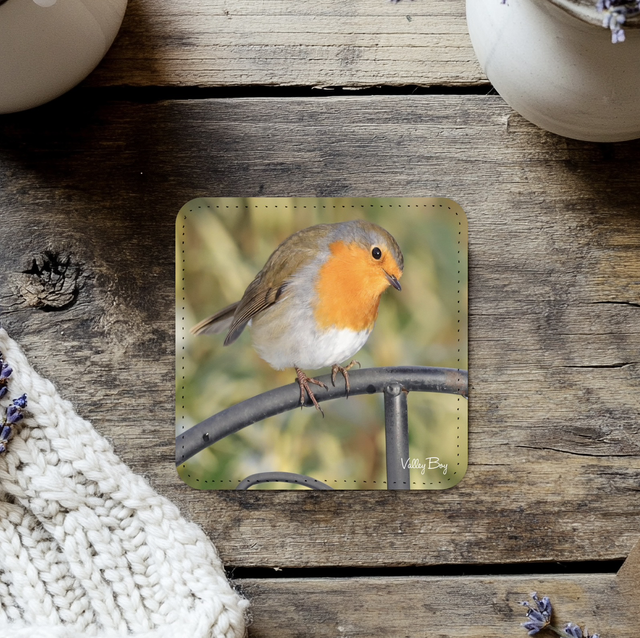 “Robby Robin” Coaster