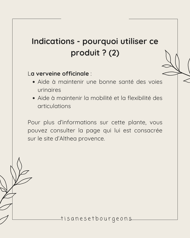 Alcoolature Verveine officinale