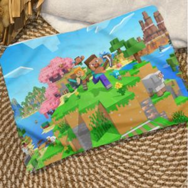 Pochette Minecraft