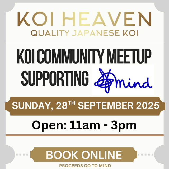 Koi Community Meet Supporting Mind