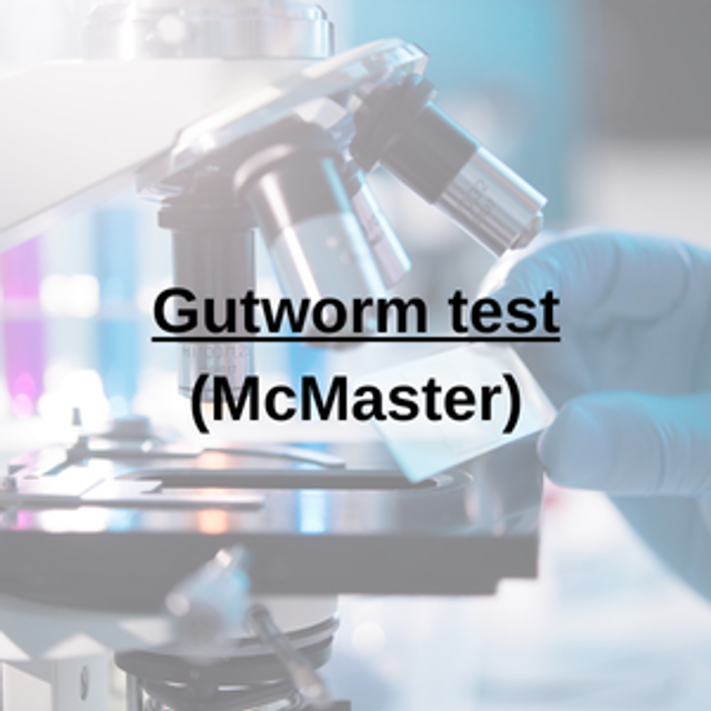 Gutworm Test