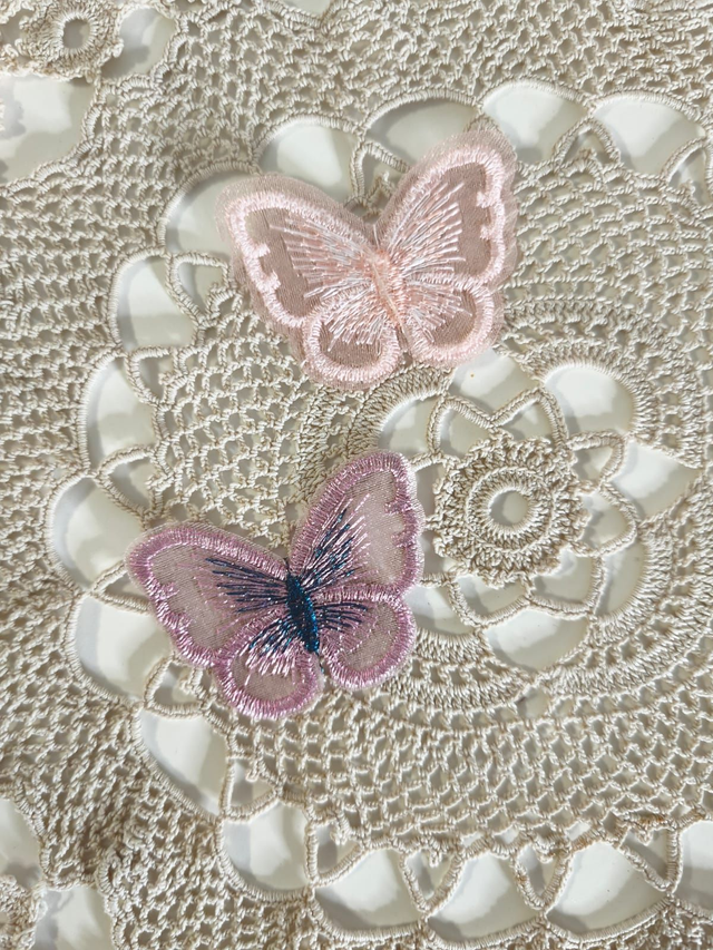 Aplicação borboleta