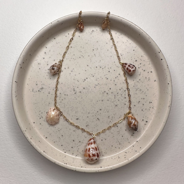 Collier Seashells Multi