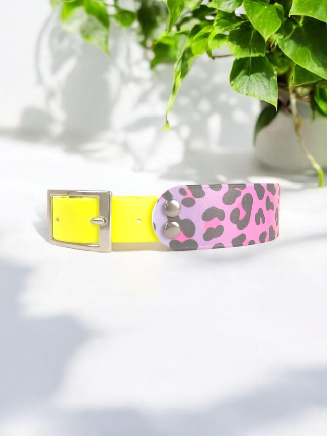 Collier pour chien en BioThane® Original USA. Rainbow Léopard / Jaune Néon 