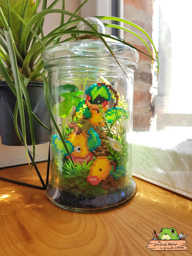 Terrarium Chétivolution