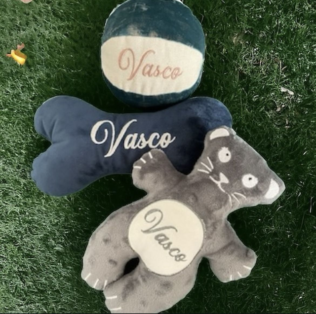 fichier broderie ITH doudou pour chien ! Cadre 26x16 !