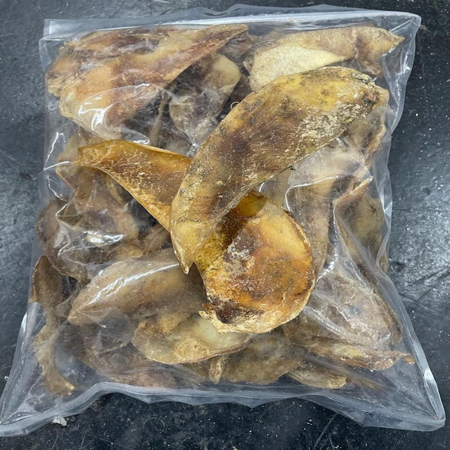 Moon Bone Pieces - Bag 