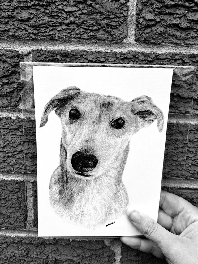 Greyhound Mini Print