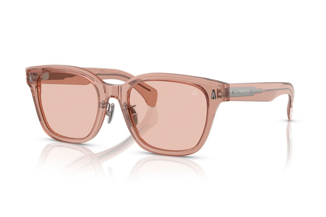 Eyewear Man Woman Moncler Metrope ME 6002D 300884