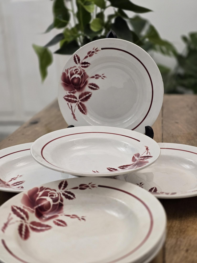 Assiettes creuses Moulin Des Loups et Hamage 