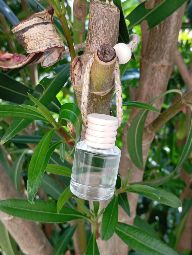 Diffuseur pour voiture 