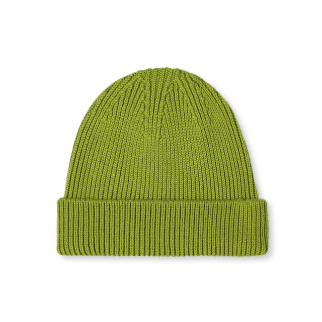 Wolvis Beanie Kiwi