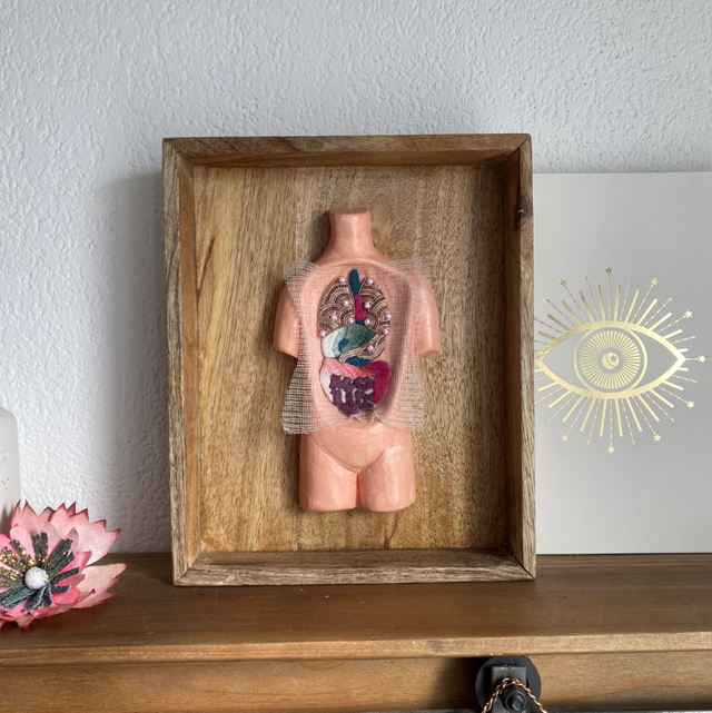 Boite anatomique système digestif 