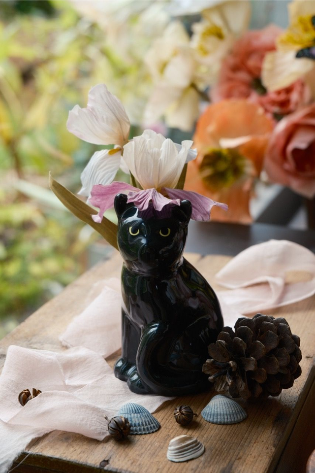 Iris in cat vase