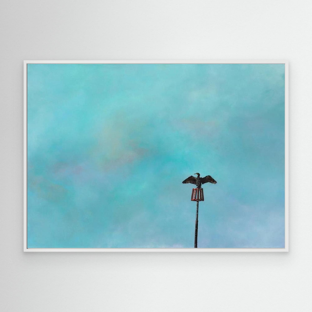 Sentinel - (Cormorant)