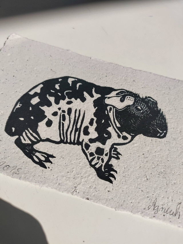 linogravure " MR.Freeze" , cochon d'inde skinny 10X15 cm