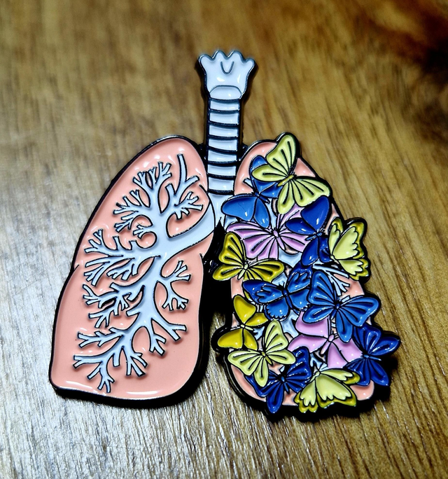 PIN&#039;S SOUFFLE DE PAPILLONS 