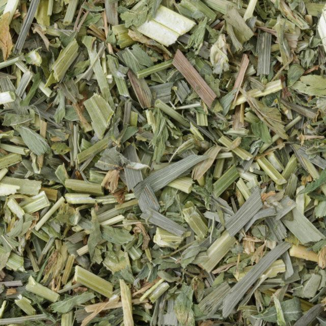 Alfalfa (luzerne) - Medicago Sativa - BIO 