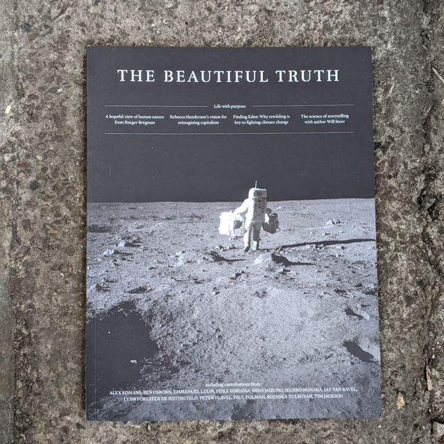 The Beautiful Truth - Issue 1